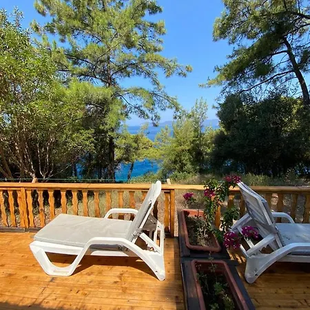 Resort Yuva Eco Holiday Yoga Retreat *