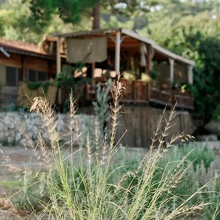 Yuva Eco Holiday Yoga Retreat Faralya
